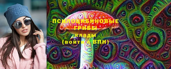 МДПВ Верхний Тагил
