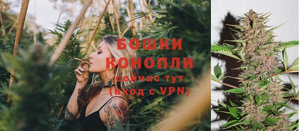 MESCALINE Верея